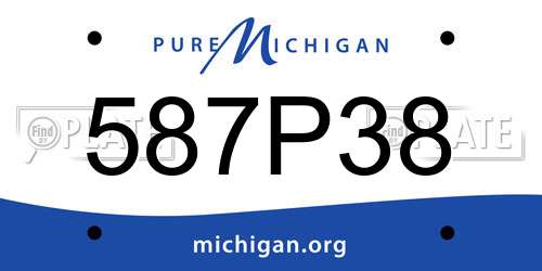 587P38 Michigan License Plate