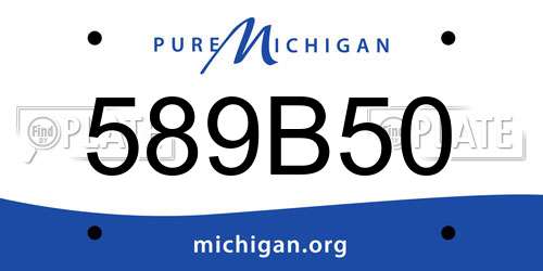 589B50 Michigan License Plate