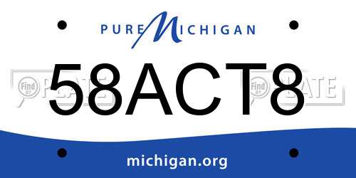 58ACT8 Michigan License Plate
