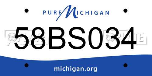 58BS034 Michigan License Plate