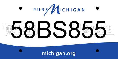 58BS855 Michigan License Plate