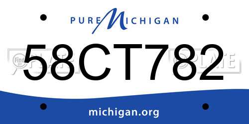 58CT782 Michigan License Plate