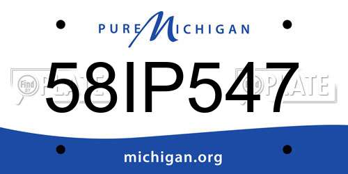 58IP547 Michigan License Plate