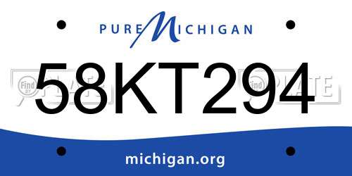 58KT294 Michigan License Plate