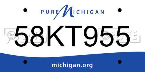58KT955 Michigan License Plate