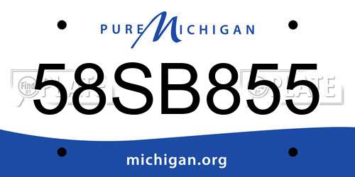 58SB855 Michigan License Plate