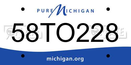58TO228 Michigan License Plate