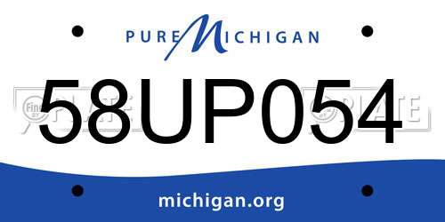 58UP054 Michigan License Plate