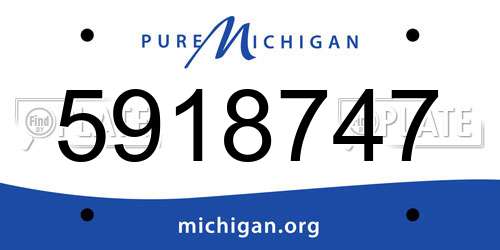 5918747 Michigan License Plate