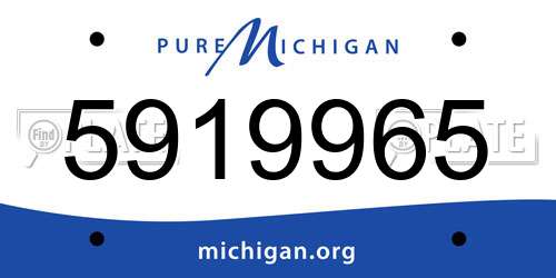5919965 Michigan License Plate