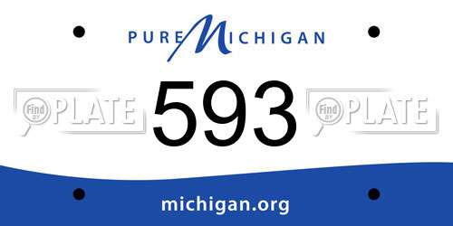 593 Michigan License Plate