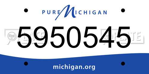 5950545 Michigan License Plate