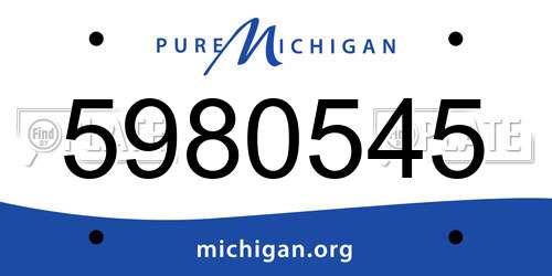 5980545 Michigan License Plate