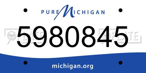 5980845 Michigan License Plate