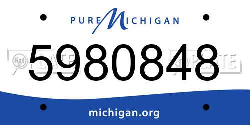 5980848 Michigan License Plate