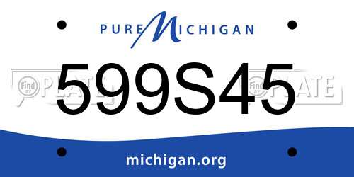 599S45 Michigan License Plate
