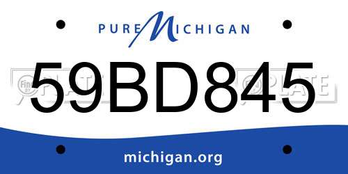 59BD845 Michigan License Plate