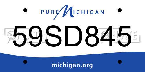 59SD845 Michigan License Plate