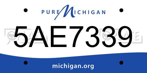 5AE7339 Michigan License Plate