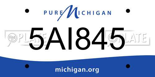 5AI845 Michigan License Plate