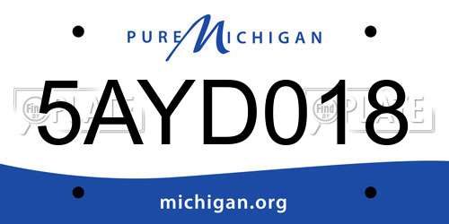 5AYD018 Michigan License Plate