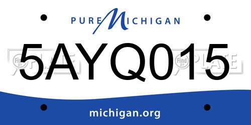 5AYQ015 Michigan License Plate