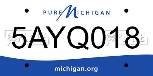 5AYQ018 Michigan License Plate