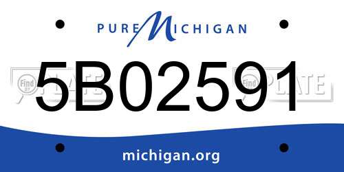 5B02591 Michigan License Plate