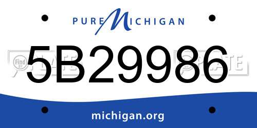 5B29986 Michigan License Plate