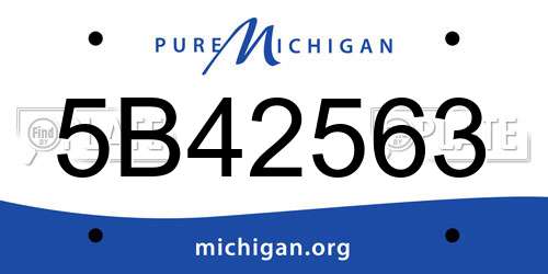 5B42563 Michigan License Plate