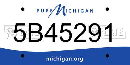 5B45291 Michigan License Plate