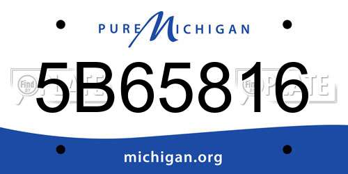 5B65816 Michigan License Plate