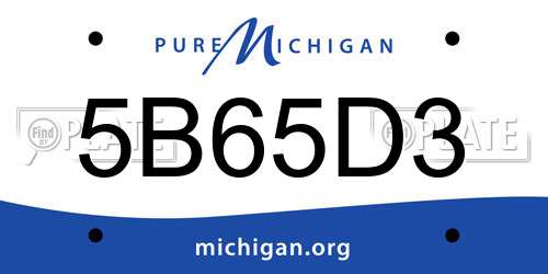 5B65D3 Michigan License Plate