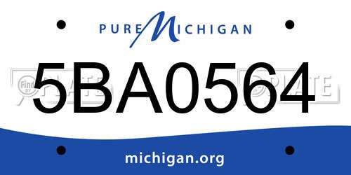 5BA0564 Michigan License Plate