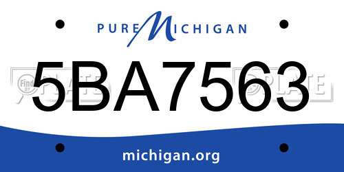 5BA7563 Michigan License Plate