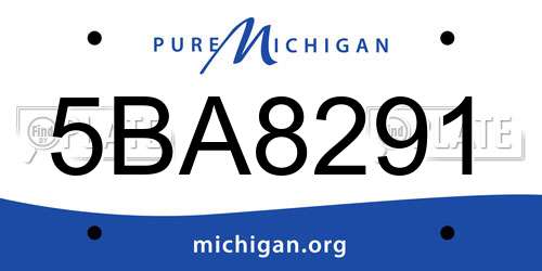 5BA8291 Michigan License Plate