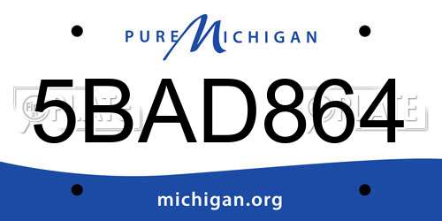 5BAD864 Michigan License Plate