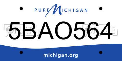 5BAO564 Michigan License Plate