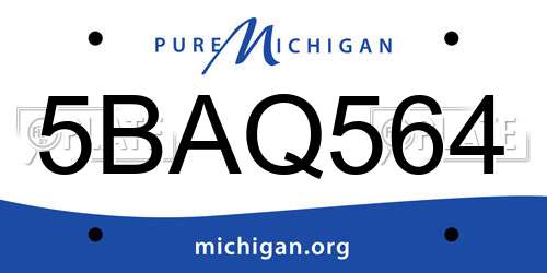 5BAQ564 Michigan License Plate