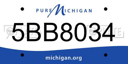 5BB8034 Michigan License Plate