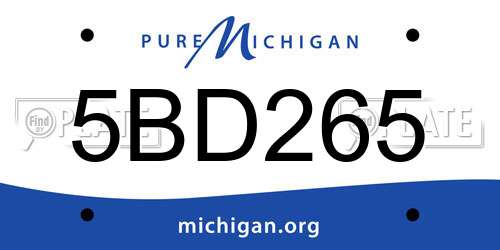 5BD265 Michigan License Plate
