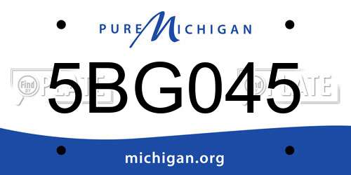 5BG045 Michigan License Plate
