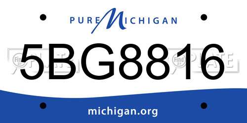 5BG8816 Michigan License Plate