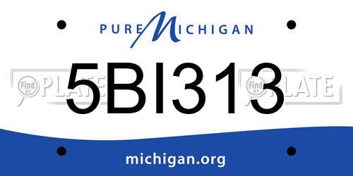 5BI313 Michigan License Plate