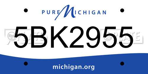 5BK2955 Michigan License Plate