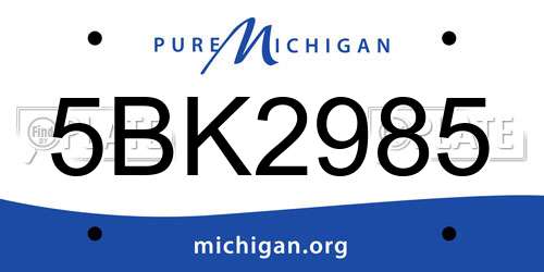 5BK2985 Michigan License Plate