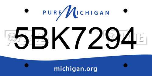 5BK7294 Michigan License Plate