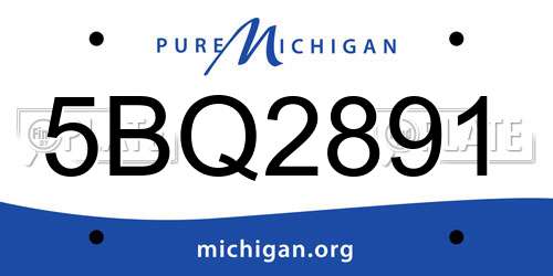 5BQ2891 Michigan License Plate