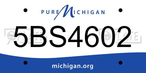 5BS4602 Michigan License Plate