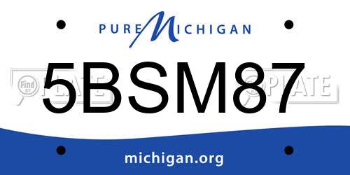 5BSM87 Michigan License Plate